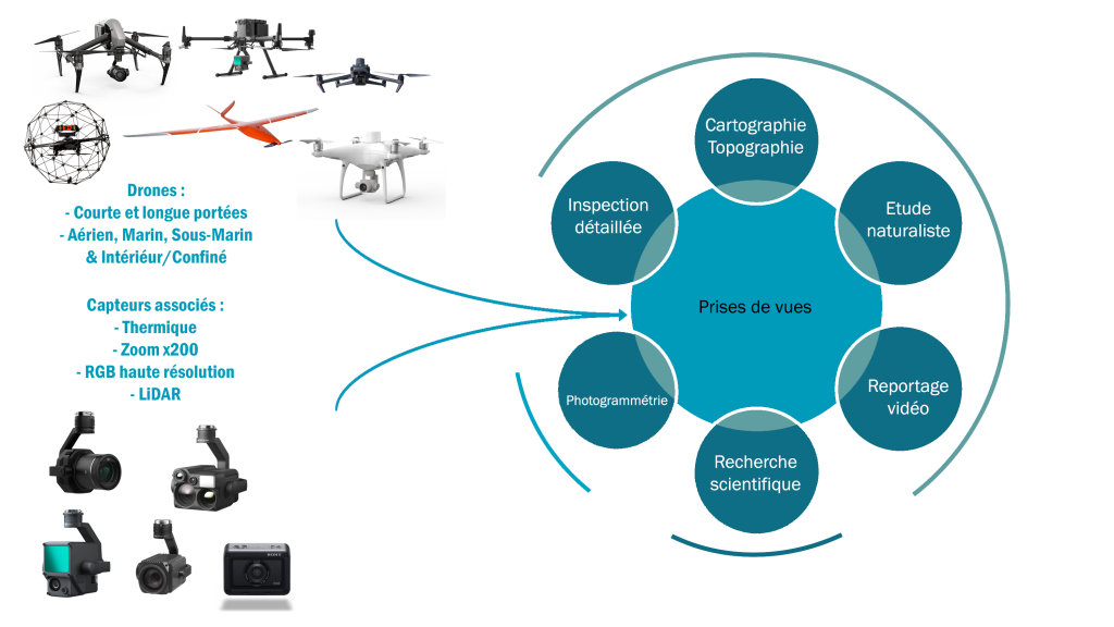 Savoir Faire Prodrones